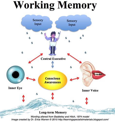 Long-term memory refers to A) the conscious active processing of incoming visual and auditory information. . The term working memory represents psychologists newer understanding of